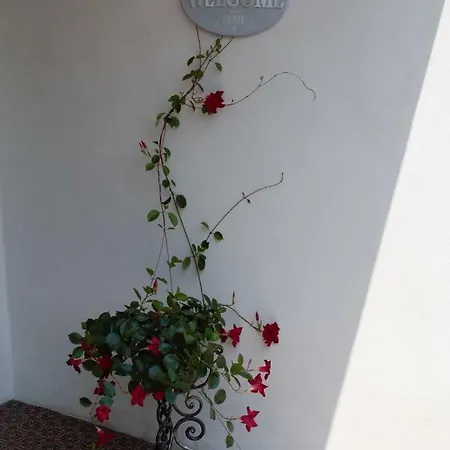 Le Magnolie דירה מסטרה