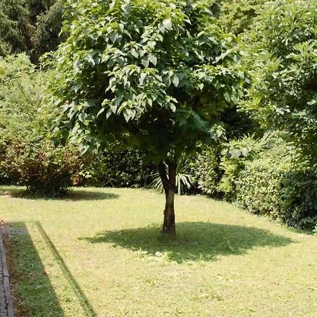 Le Magnolie Lejlighed Mestre