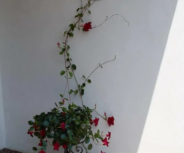 Le Magnolie Apartamento Mestre