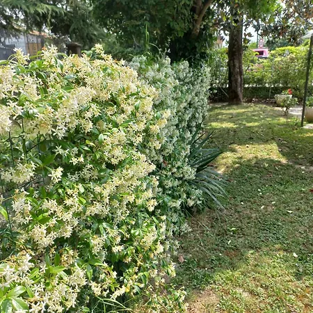 Apartamento Le Magnolie *