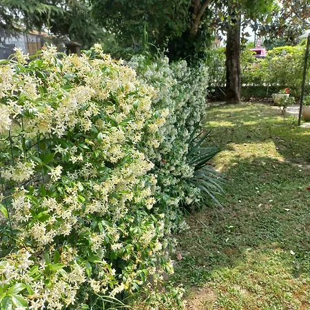 شقة Le Magnolie *