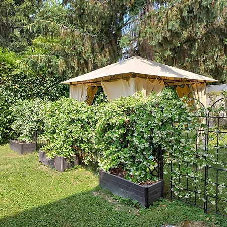 Le Magnolie