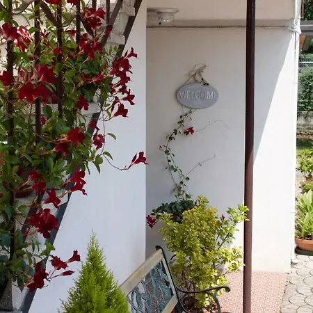 Le Magnolie *