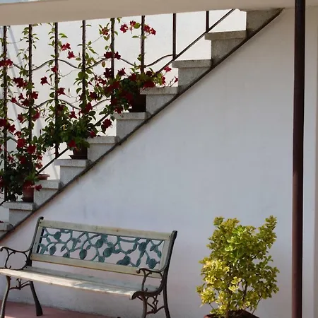 Le Magnolie *