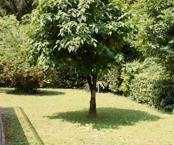 木兰花公寓 公寓 梅斯特雷